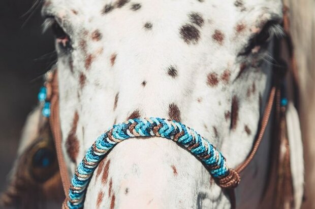 Neusband &#039;Indian&#039; 