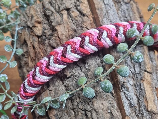 Neusband &#039;Indian&#039; 
