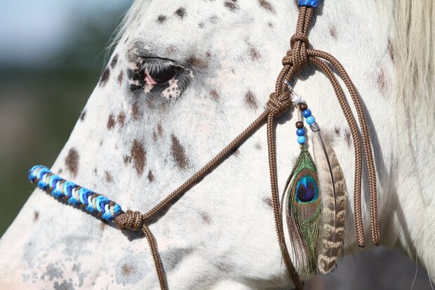 Neusband &#039;Indian&#039; 