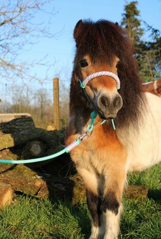 Neusband &#039;Indian&#039; 