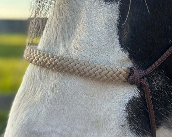 Neusband Basic