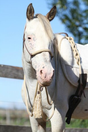 Natural Hackamore - Basic