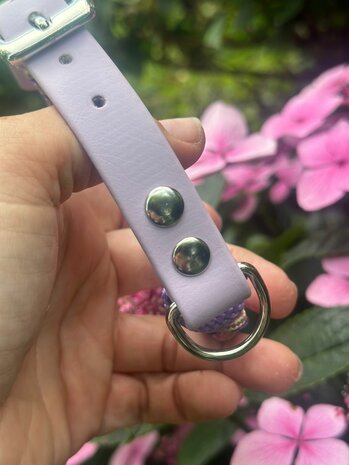 Honden halsband &#039;Cherokee&#039; 