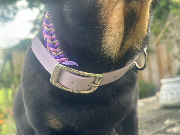 Honden halsband &#039;Cherokee&#039; 